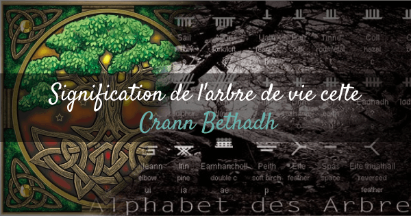 Signification de l'arbre de vie celtique : Crann Bethadh